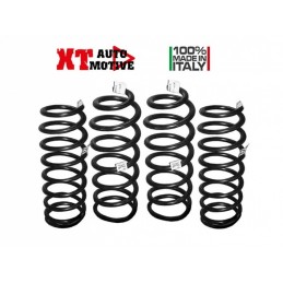 XT Automotive springs +10cm...