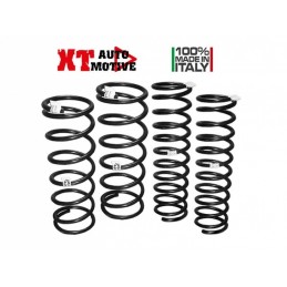 XT Automotive springs +4cm...