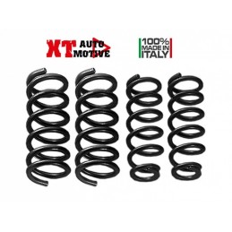 XT Automotive springs +4cm...