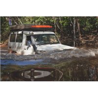 Snorkel